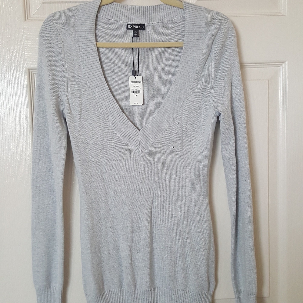 Express v-neck sweater